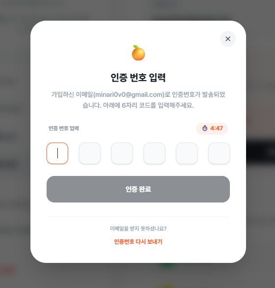 이메일 코드 입력창
